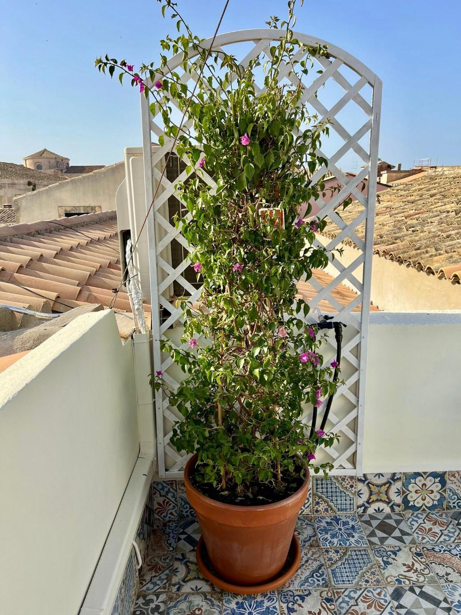 Incantevole In Palazzo Storico Ortigia Apartamento *